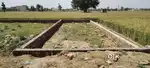 I have one plot I sell urgent best area for house this my property is