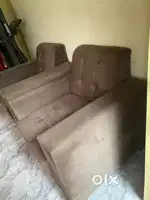 6 months old sofa
