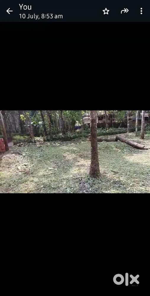 Plot for sale near Kannur Airport