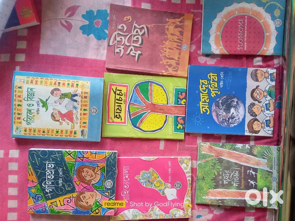 Government Book Class 8