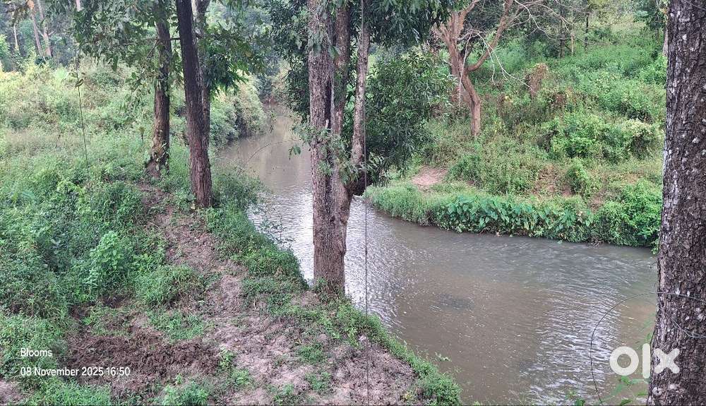 2 Acres of Scenic Land Beside Pazhassi Raja Landscape Museum, Wayanad!