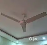 48 inch Orient PSPO Ceiling Fan