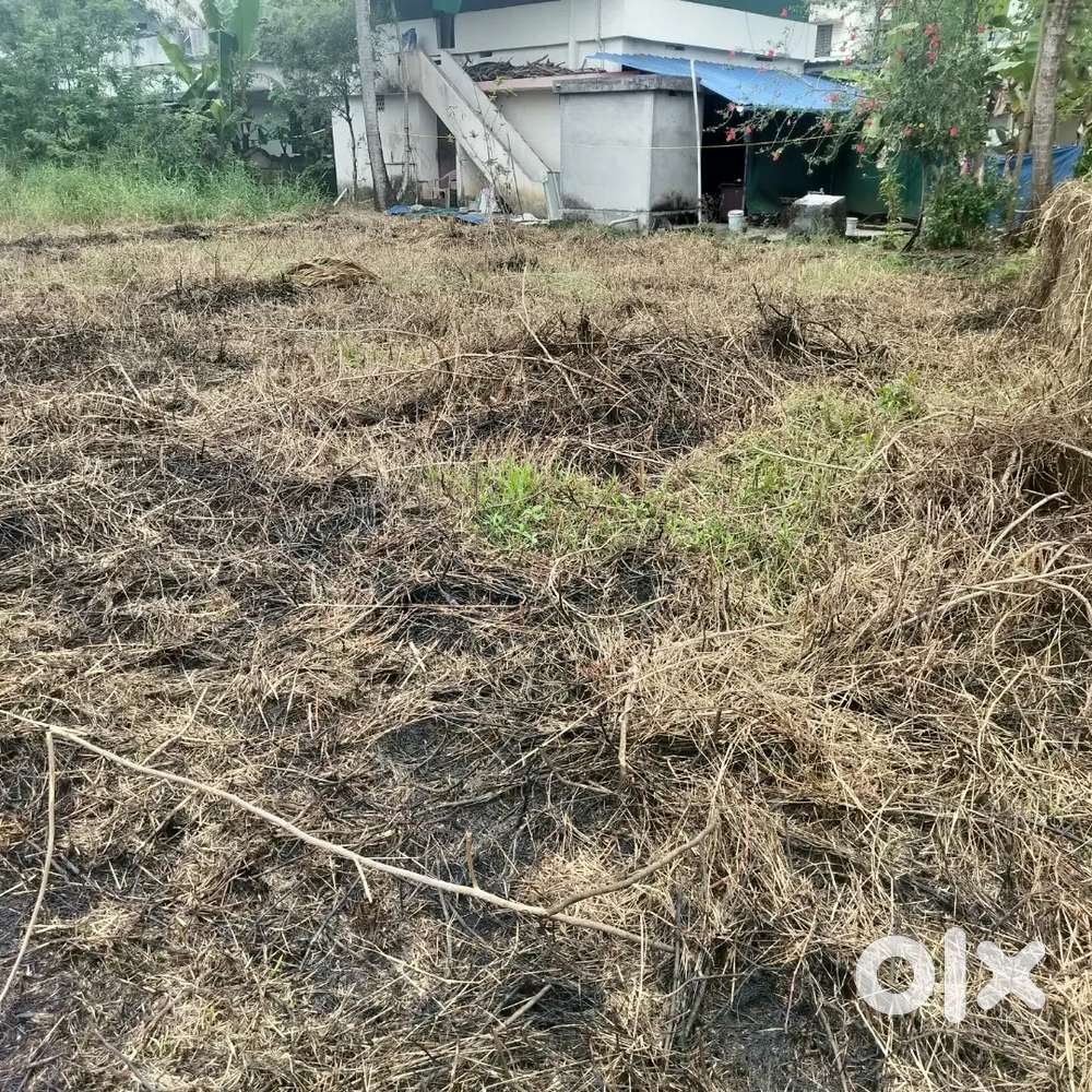 3.20 ares land for sale in east kadungalloor