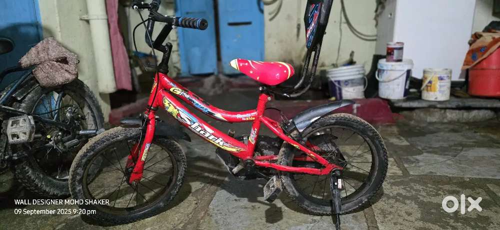 16 number kids bicycle price fixed