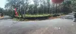 6.5 EKKAR RUBBER THOTTAM BUS ROUTE FRIEND NEAR POTHANIKADU