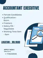 Hiring - Accountant Executive