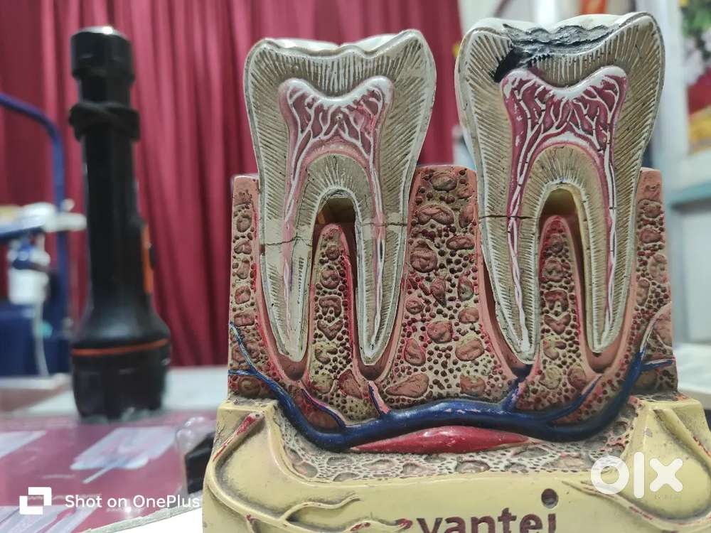 Front office assistant