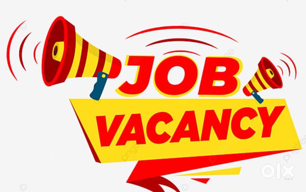 Financial advisor position in a reputed company