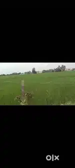 Vacant Land @ Pakkam