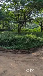 12.03 Cents Residential Plot Kolazhi “കര ഭൂമി”