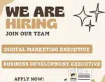 Digital marketing executive
