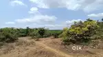 30000 sqmts for sale Orchard zone