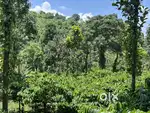LAND WITH HOUSE FOR SALE AT THRISSILERY