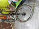 Prince no 1 cycle