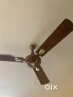 Ceiling fan