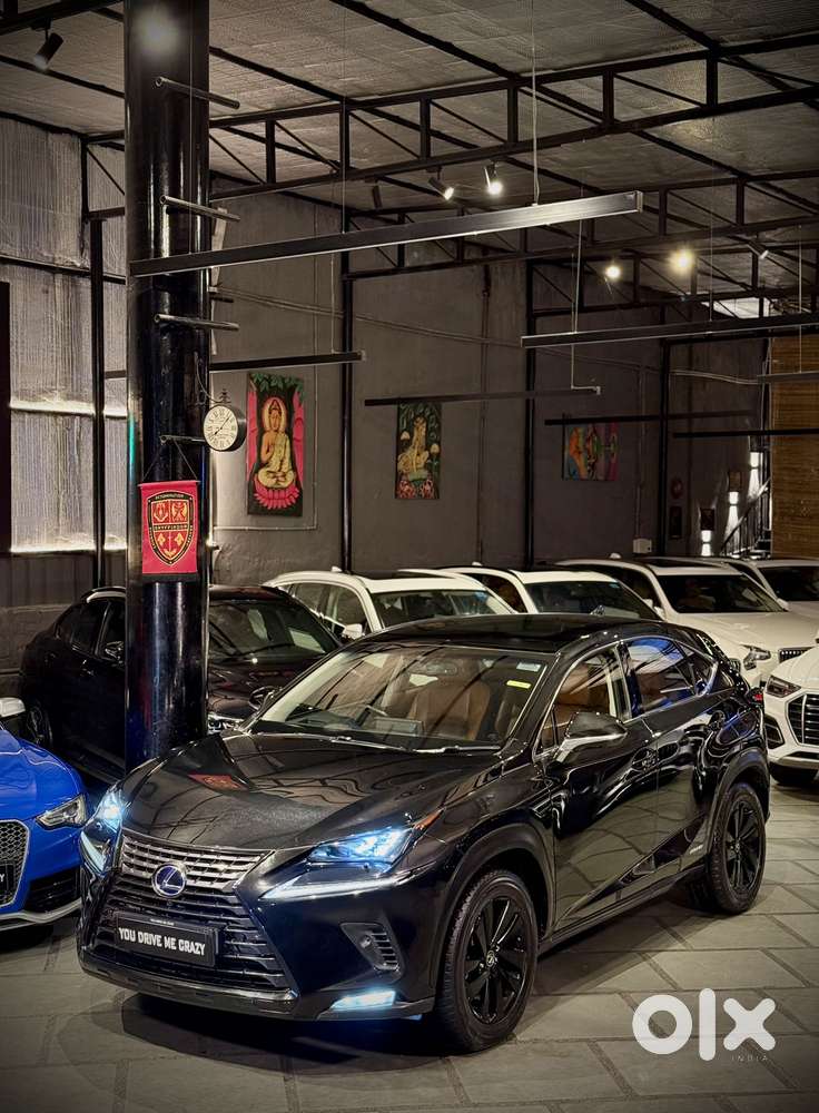 Lexus NX lexus-nx-300h-luxury, 2018, Petrol