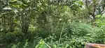 24 cent property for sale in Varkala, Near mission hospital, Varkala