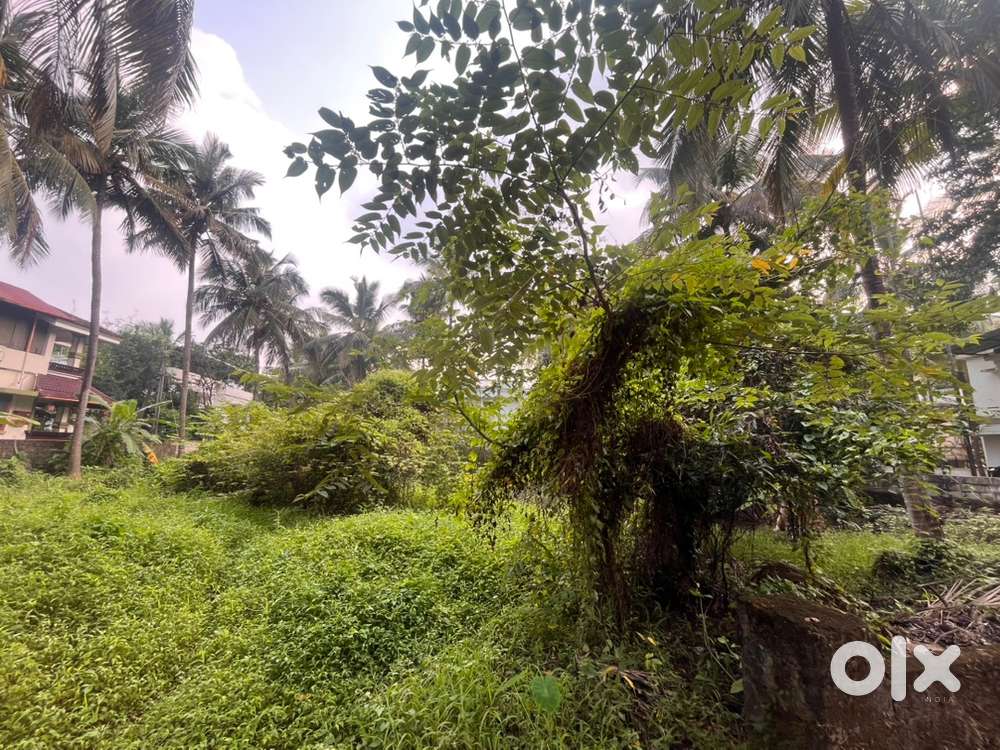 15 cents including old house