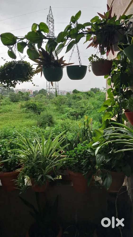 National Highway 7 touch farm 70km from nagpur for sell