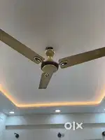 Havells fan