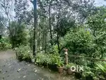 Land  for sale