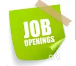 Female Personal Secretary(part time) required at Mansarovar, Jaipur