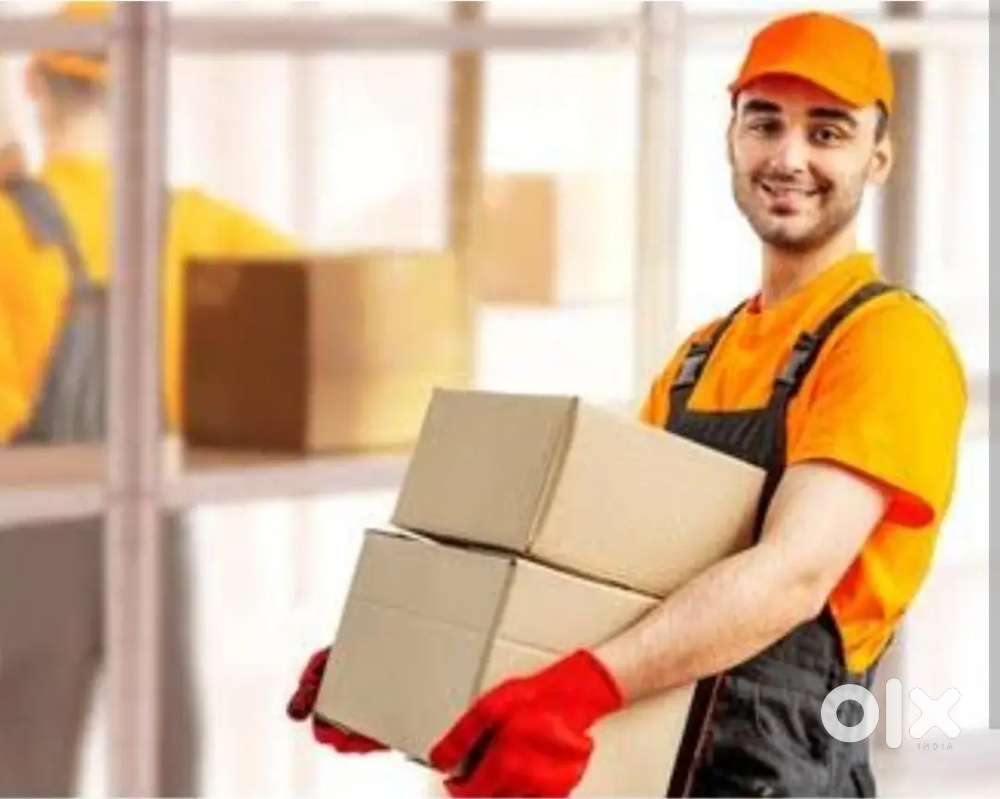 Helper/ Godown Staff (Packed Biscuit & Cake Distribution Company)