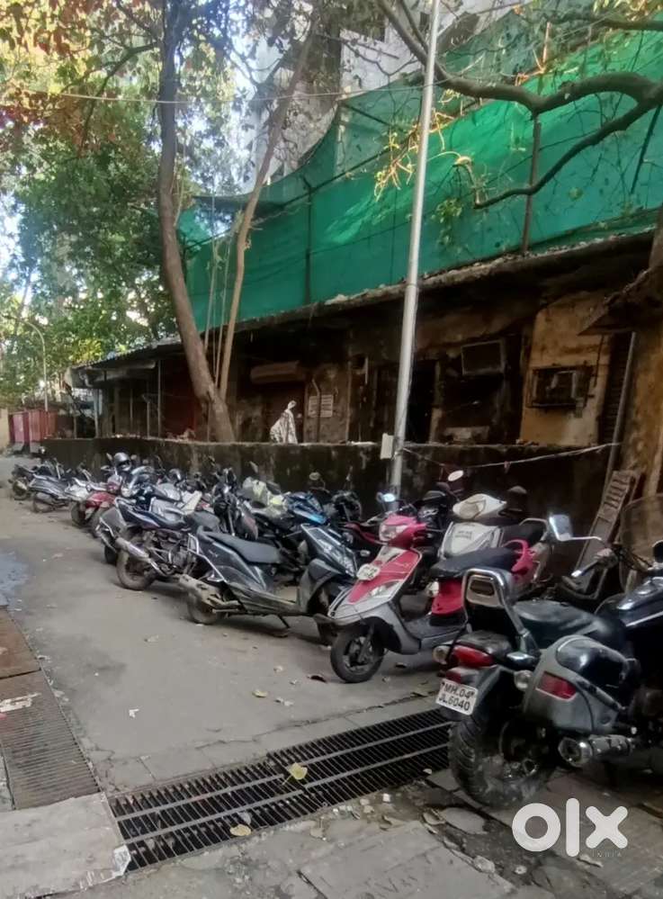 Bike Mechanic or Mechanic Helper