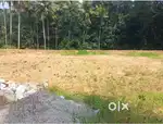 കാട്ടക്കട Plots for sale