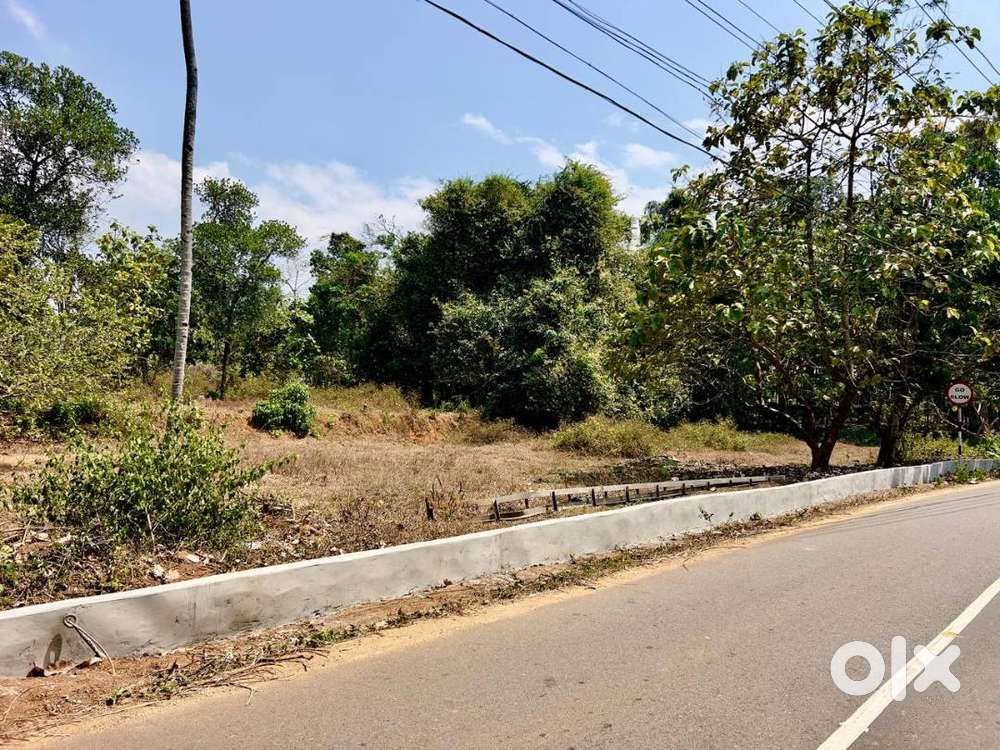 55 Cents of Property in Prime Location