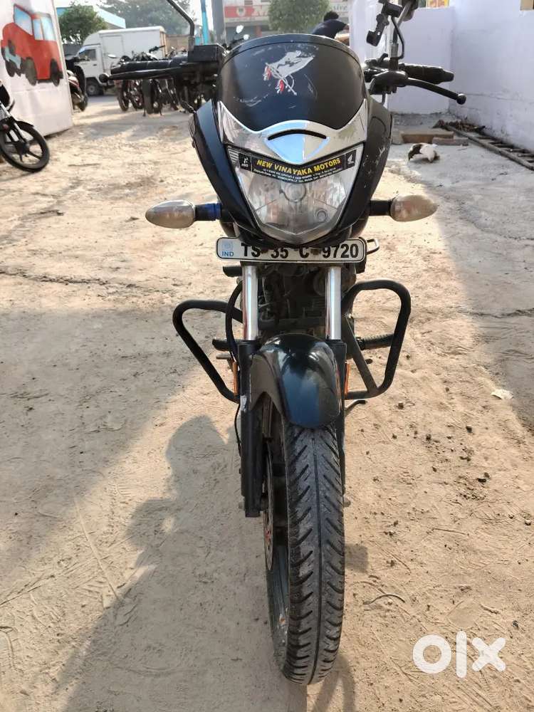 Unicorn in best for elders