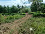 Vagamon Pullikkanam root ST Thomas School Near 40cent LA Pattayam sale