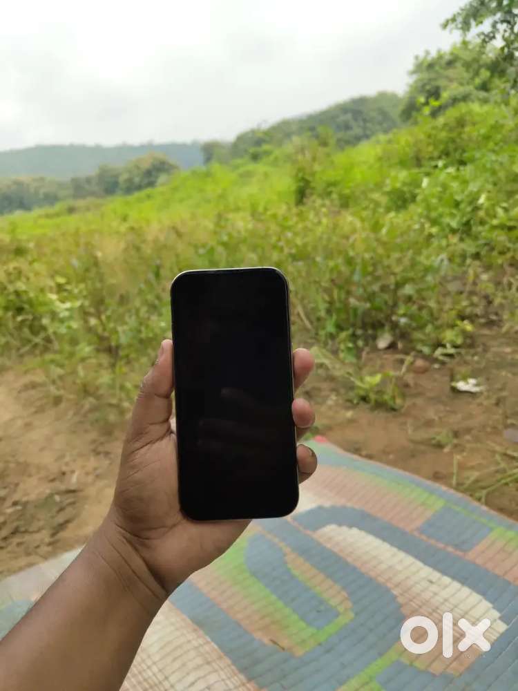 iphone 16pro