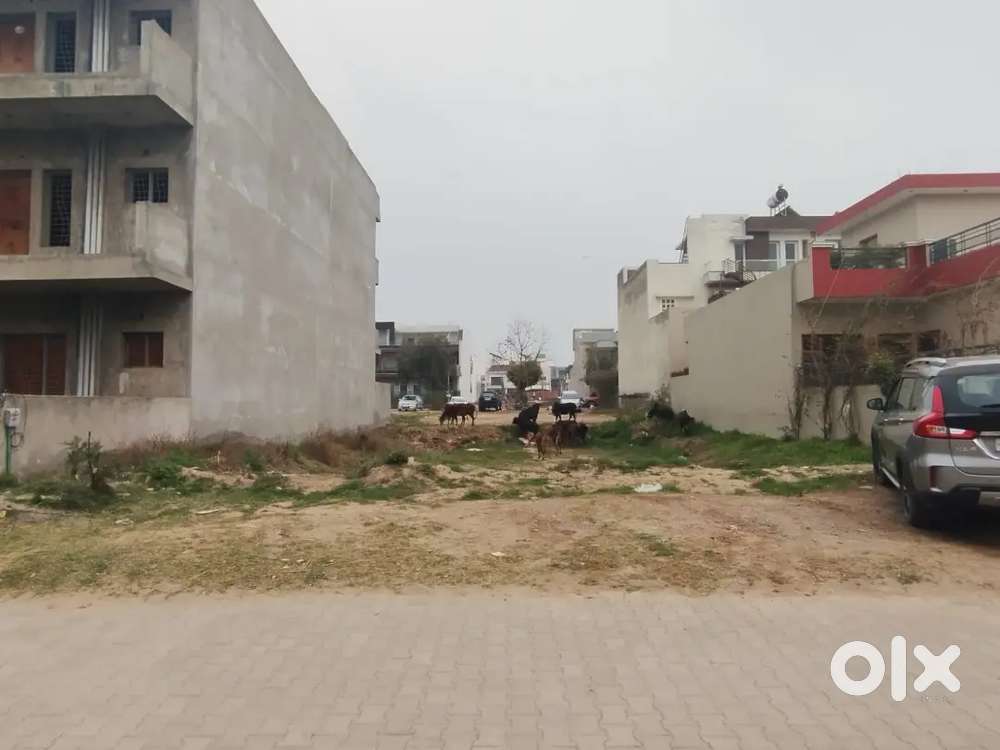 TDI City 244 Yard Plot North Facing Sector 118 Mohali