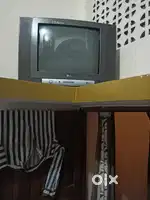TV  LG sound master
