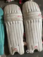 Cricket pads