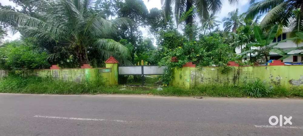 Koonammavu Thathappilly Bus Route