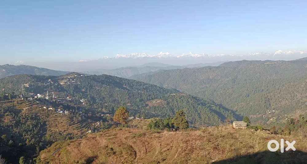 Land sale in mukteshwar himalayan view