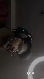 Gaming Headphones (with background voice cancellation)