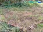 Plot for sale at Muhamma