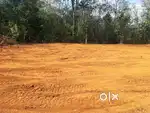 25 cent plot for sale