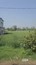 9 biga land for sale