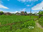 Land for sale Koratigram, Silchar