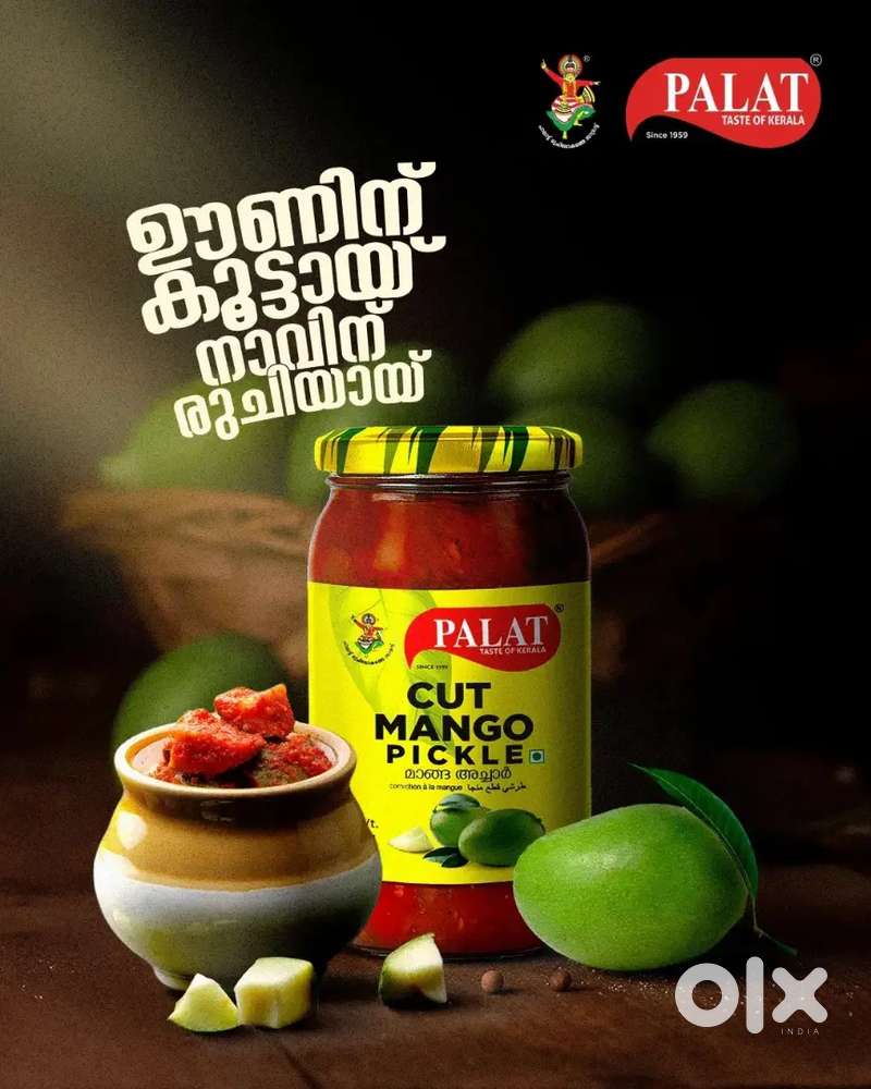 Experienced Salesman for an FMCG company