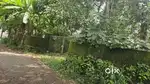 Nedumbassery near athani 18 cent old house for sale immediately