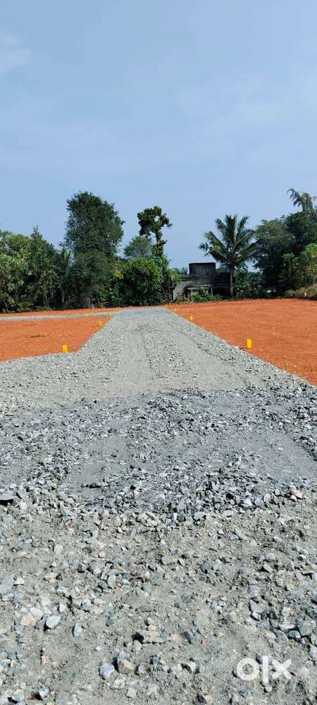 Mind blowing projects of house plots for sale at Kallekkad