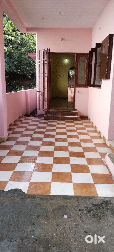 Beautiful individual House on rent