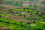 Individual NA PLOT PRIME LOCATION