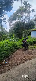 9 cents of  land for sale at pallivasal Munnar