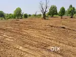 Farm house plot Ac.1.57 dec.